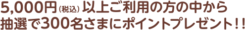 5,000円（税込）以上ご利用の方中から抽選で300名さまにポイントプレゼント!!